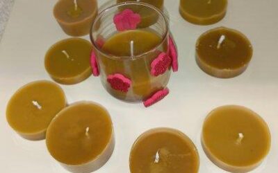 Učenici 5. razreda u pripremama za Noć knjige